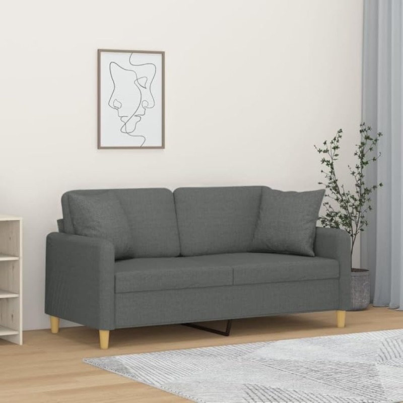 Snsowed 3200910 2 vietų sofa su dekoratyvinėmis pagalvėlėmis, tamsiai pilka, 140 cm audinys, poilsio sofa, sofos ir kušetės, poilsio sofa, svetainės sofa