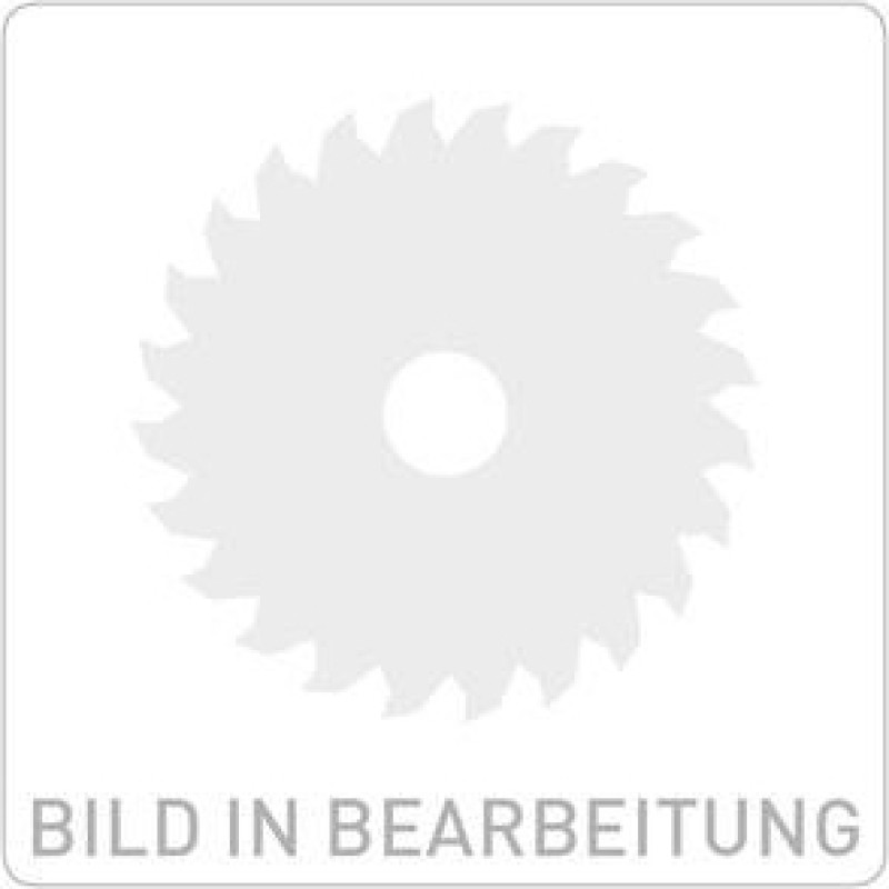 SKF 23122 CC/c2 W33 sferinis ritininis guolis