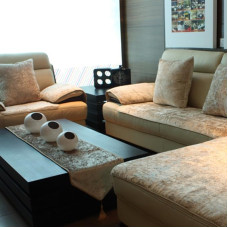 Ty&wj Pliušinis neslystantis sofos dangtelis Gyvenamasis kambarys sofos dangtelis Lauko sofos dangteliai odinei sofai naminių gyvūnėlių šunims ir vaikams baldų apsaugai