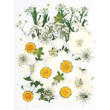 Dried Pressed Flowers Natural Dried Flowers Real Pressed Flowers Colourful Dried Flowers for Resin Jewellery Nail Art Craft DIY (White)