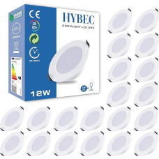 LED įleidžiamas prožektorius, plokščias, įleidžiamas LED prožektorius, LED prožektoriai, LED prožektoriai, LED įleidžiamieji šviestuvai, įleidžiamieji šviestuvai, LED panelinė lemputė, 12 W (pakuotė po 20 vnt.)