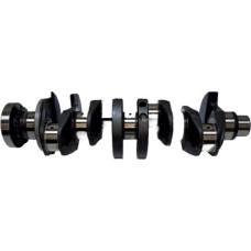 Kurbelwelle kompatibel mit Discovery AJ200D 204DTA 2.0L 2016 LR090358 CK005602 MTS1402 WG2295939 Aftermarket-Ersatz