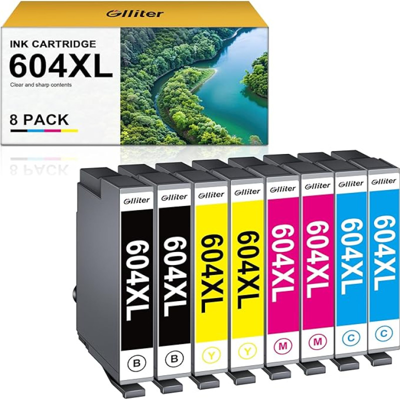 604XL rašalo kasetės Epson 604 XL Epson XP 3200 spausdintuvo kasetės XP 4200 XP-3205 XP-3200 XP-2205 XP-4205 Workforce WF-2930 WF-2935 WF-2910 (