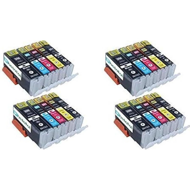 20 rašalo kasečių, suderinamų su 