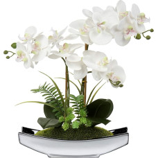 Dirbtinės gėlės Orchidėjos Dirbtinis Phalaenopsis Bonsai Dirbtinės gėlės, kaip ir tikros vazone Dirbtinės gėlės dekoracijos gyvenamajame kambaryje Vonios kambario stalo apdaila Aukštis 38 cm