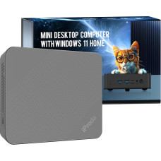 Mini PC 12th Generation Alder Lake N100 Processor (up to 3.4GHz), 8GB DDR4, Windows 11 Home Mini Computer with 256GB SATA SSD 4K Dual Display Micro PC WiFi6/Bluetooth 5.0/USB3.2 (Grey)
