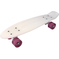 Street surfing skateboard, Beach Board 22.
