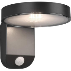 Reality Leuchten Posadas R22251142 LED saulės lauko sieninis šviestuvas Plastikinis antracito spalvos su 4,5 W LED judesio jutiklio sieniniu šviestuvu