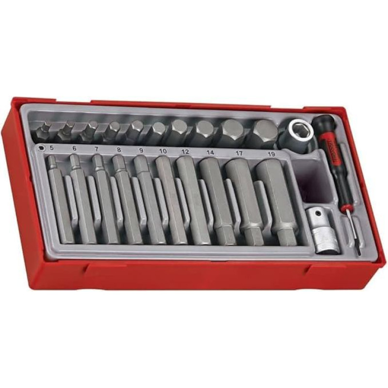 Teng TTHEX23Metrinių šešiakampių šešiabriaunių galvučių rinkinys (23 dalys)