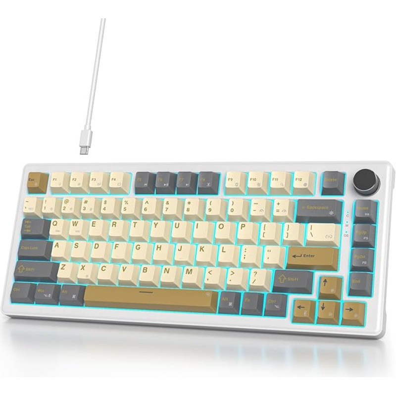 V500 mechaninė klaviatūra su mygtukais, amerikietiška QWERTY 75 % laidinė žaidimų klaviatūra, sandari, keičiama karštuoju būdu, iš anksto suteptas baltas jungiklis RGB, skirta PC, MAC Shimmer