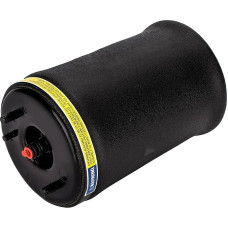 Mechanische Luftfedern Kompatibel Mit Für X5 E53 2000 2001 2002 2002 2003 2004 2005 2006 Luftfederbalg Hinten Links 37126750355 37121095579