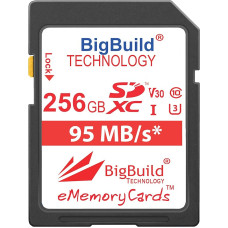 256 GB UHS-I U3 95MB/s atminties kortelė, skirta Nikon D3400, D500, D5300, D5500, D5600, D610, D7200, D750, D7500, D850 fotoaparatams