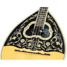Pickup KNA Bouzouki BZ-1A Aktyvus