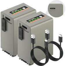 NP-FV100 USB-C 4590 mAh baterija, skirta 