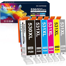 PGI530/531 XXL spausdintuvo kasetės (PGBK juoda, žydra, purpurinė, geltona, pilka) Suderinamos PGI-530 CLI-531 Canon 530 531 spausdintuvo kasetės, suderinamos su Canon PIXMA TS8750 TS8751 spausdintuvu (6 vnt.)
