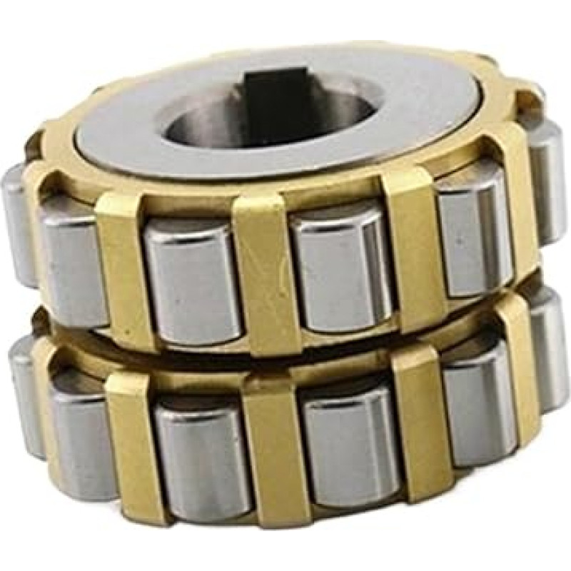 Bendras ekscentrinis guolis 22UZ329 / 616 2935 YSX/E-95UZS221 / TRANS6115159 / 610 87 YRX / TRANS620 Reduktorius (22UZ329)