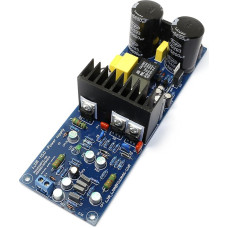 L15D Power Digital Amplifier IRS2092 300 W4R Mono Amplifier Board with Circuit Protection