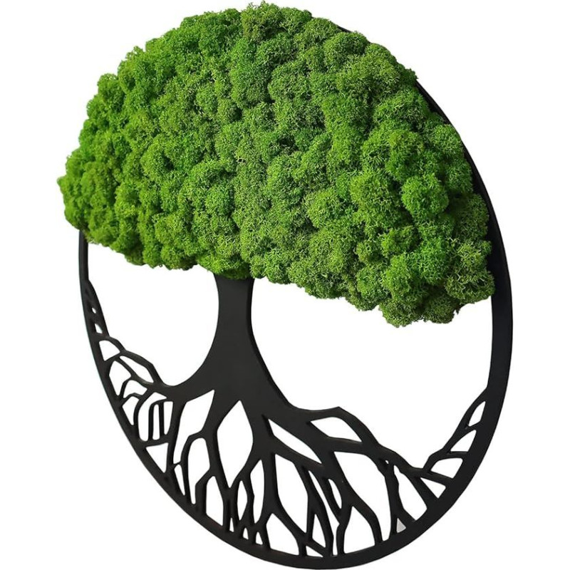 Hello Moss Sienų dekoracijos Medžio formos samanų paveikslėliai - gražiai atrodantis sieninis medis - atgaivinkite savo namus - iš natūralių žaliavų ir dekoratyvinių samanų pagamintas sieninis paveikslėlis