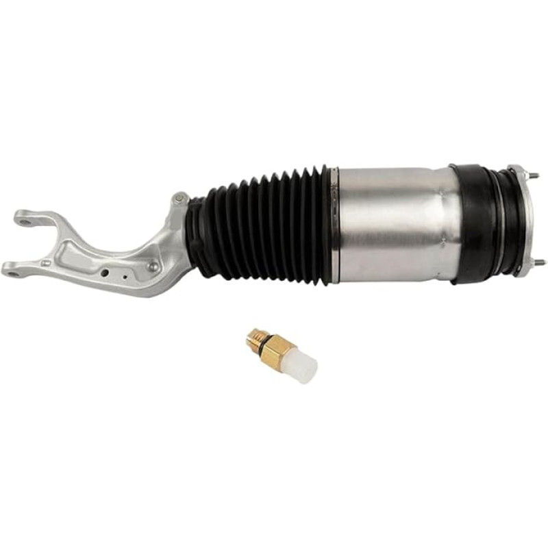 Luftfederbein 1027361-25-E 1027066-00-D Kompatibel mit 2017-2019 X 75D 100D Sport 4-Türer ELEKTRISCH Vorne Links Rechts