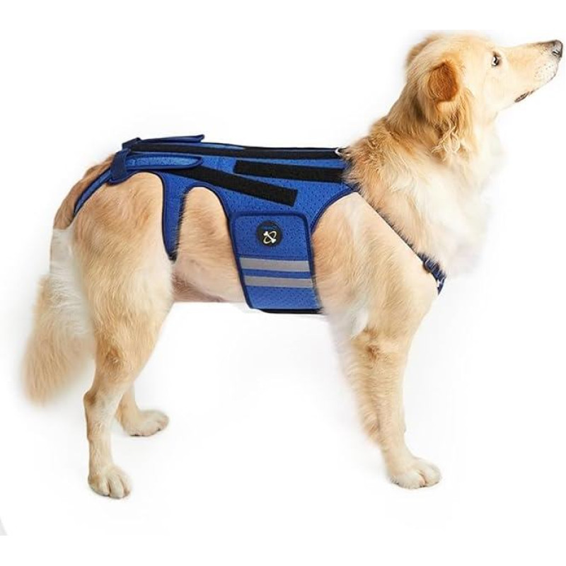 COODEO Šunų nugaros atrama šunims su artritu, augintinių nugaros atrama IVDD, nugaros apsauga padeda malšinti skausmą, operaciniam atsigavimui ir reabilitacijai, šunų nugaros ligų profilaktikai (XXL)