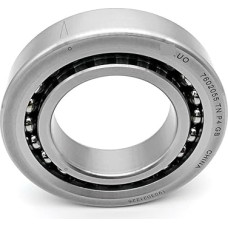 1 STÜCKE 55x100x21 7602055 TN P4 GB 760211 TN1 P4 GB KUGELSCHRAUBEN-STÜTZLAGER 1 Stücke(760211 TN1 P4 GB)