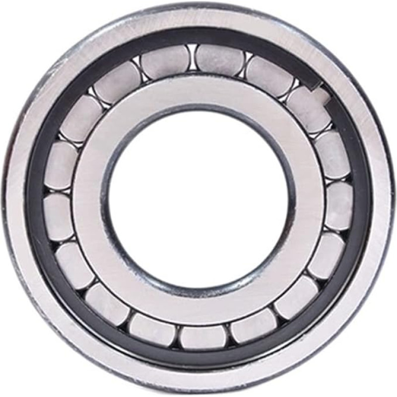 1PC Zylinderrollenlager SL045044 SL045048 SL045052 Zweireihiges Lager