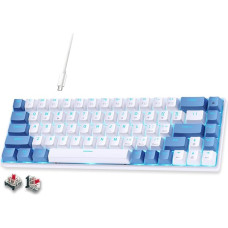 abucow 60% Mechanical Gaming Keyboard, Wired Compact Keyboard with Blue Backlight, Blue Switches and Interchangeable Grey/Black Keycaps (Blue/White)
