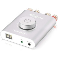 Nobsound NS-20G Mini Digital Power Amplifier Bluetooth HiFi Stereo Amp Power Amplifier 100W + 100W (Silver)