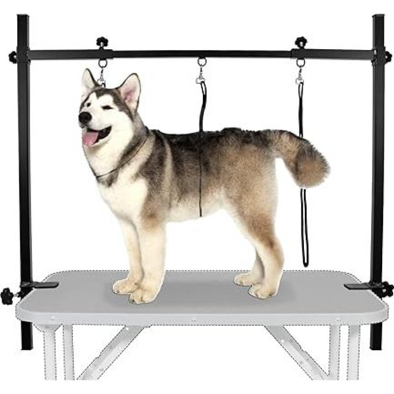 LEIBOU H-Shape Pet Grooming Table with Sling and Clamp for Dogs and Cats, Sturdy Aluminium Alloy Frame, Height Adjustable from 95cm to 119cm