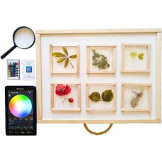 R-Crea Montessori RGBW šviesos stalas 48 x 37 x 7 Natūralios spalvos, sertifikuotas Mursijos universiteto Ispanijoje