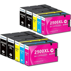 BAISINE 2500XL spausdintuvo kasetės suderinamos su 