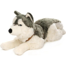 Uni-Toys - Husky with Harness, Lying Down - 62 cm (Length) - Plush Dog - Plush Toy, Cuddly Toy