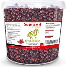 Supravit Rosehip Horse | Su daug vitamino C žirgams ir poniams | 2 kg kibiras I Visiškai džiovinti vaisiai - natūralūs skanėstai žirgams be cukraus | Aukščiausios kokybės