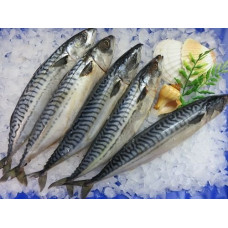 GreetFish Skumbrė, skirta rūkyti, sūdyta, 1200 g