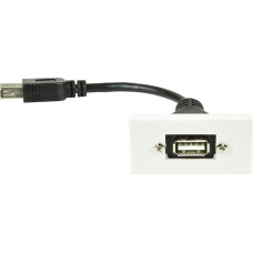 AV:Link Wall Plate Module - USB 2.0 Type A Female to Female Tail